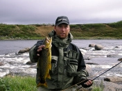 Nice golden trout Nice golden trout