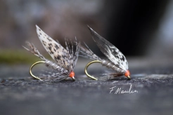 March Brown Grey March Brown Grey