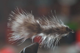 Translucent Frede Translucent Frede