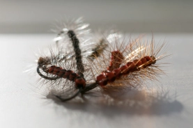 Hairy critters Hairy critters