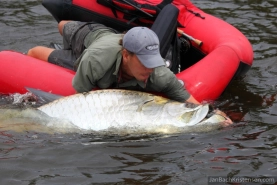 Overwhelming Overwhelming