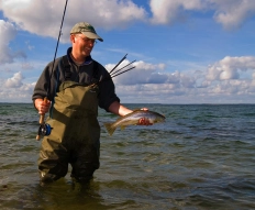 The author The author