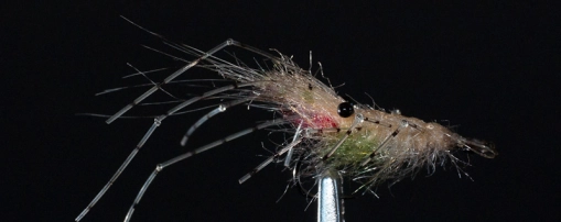 Kern's Perfect Leo Shrimp Kern's Perfect Leo Shrimp