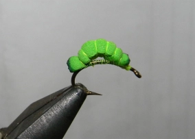 The green worm The green worm