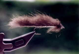 The Fair Fly The Fair Fly