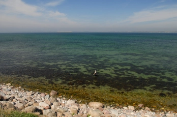 Lots of visibility Lots of visibility