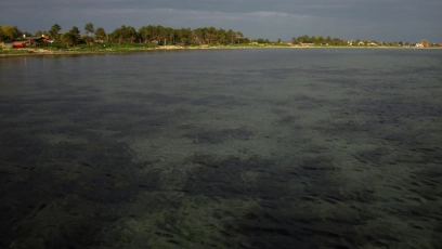 Clear water Clear water