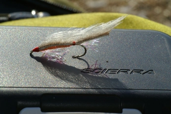 Shiny but translucent Shiny but translucent