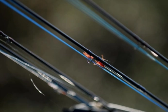 Bright spot Bright spot