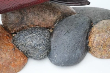 Rocks - carved in wood! Rocks - carved in wood!