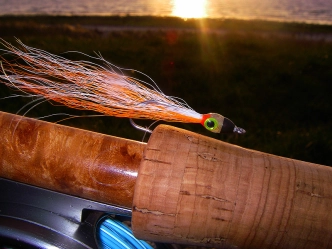 Orange/White Jiggy Orange/White Jiggy