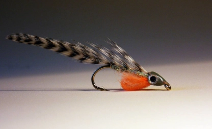 Yolk Sac Minnow Yolk Sac Minnow