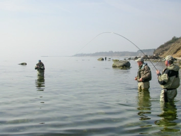 Klympen at work Klympen at work