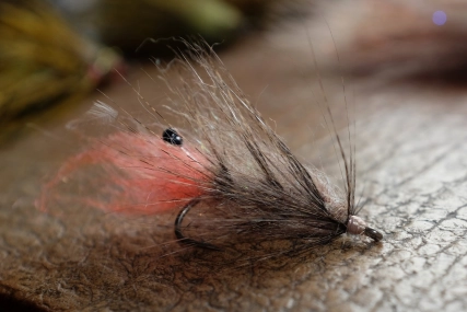 The body hackle gives volume The body hackle gives volume