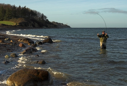 Forced by the wind Forced by the wind