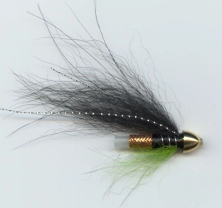 My favorite My favorite