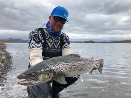 Slim fish after spawning season Slim fish after spawning season