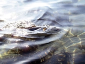 Ready for landing Ready for landing