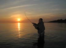 Sea trout, Persson and sunset Sea trout, Persson and sunset