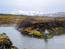 Fish close by Fish close by