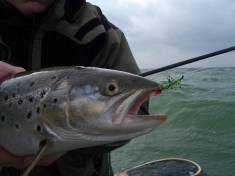 Terror regime Terror regime