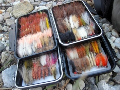 Well stocked boxes Well stocked boxes