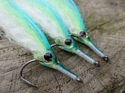 Long nosed baitfish Long nosed baitfish