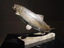 Bronze of a trout nymphing Bronze of a trout nymphing