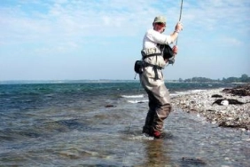 A good fish A good fish