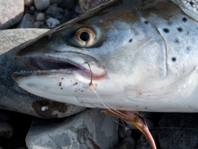 Hooked on the back Hooked on the back