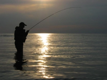 Silhouette Silhouette