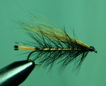 Dorris Special Dorris Special