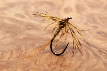 Rob's March Brown Rob's March Brown