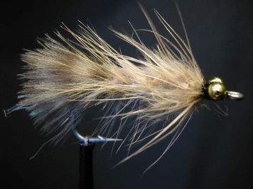 Webby Fred Webby Fred