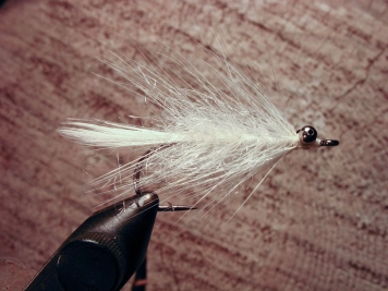 The Inspector's White The Inspector's White