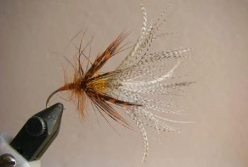 Double K Reversed Double K Reversed