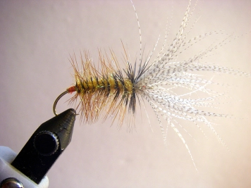 Step 11 - done Step 11 - done