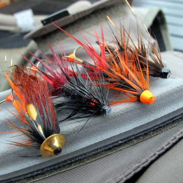 Flies to go Flies to go