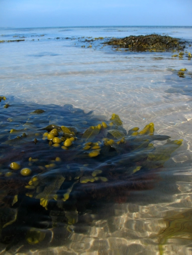 Where it starts Where it starts