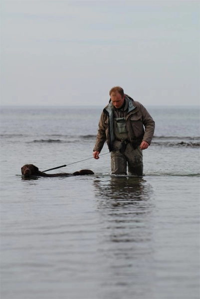 Charlie and Ken Charlie and Ken