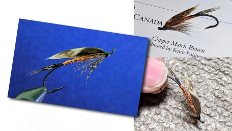 Copper March Brown Copper March Brown