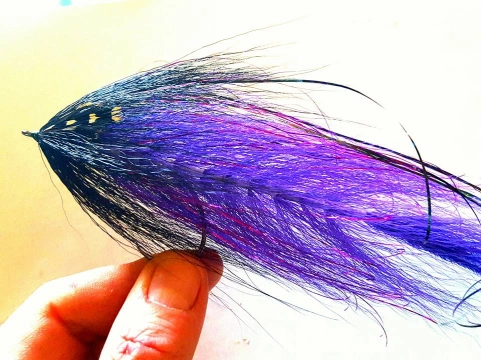 Beast style Beast style