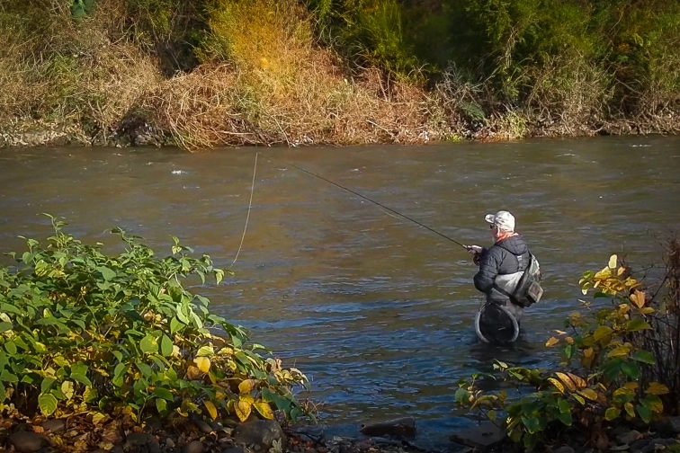 Time for a Chain Worm Time for a Chain Worm