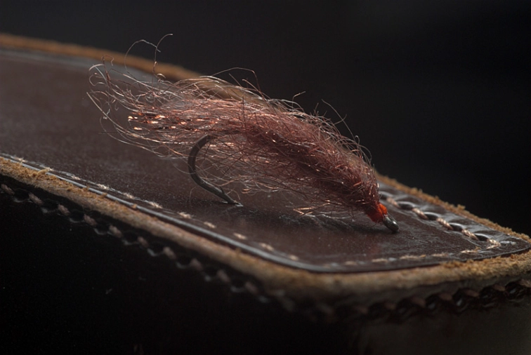 Translucent Translucent