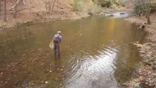 Video thumb for The East Coast