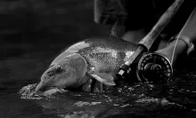 User submitted picture: Barbel