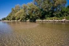 User submitted picture: River VÃ¡g