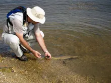 User submitted picture: Good-bye friend