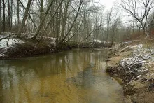 User submitted picture: first New Year day....