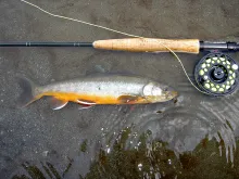 User submitted picture: Lake Char - Austrian Lake...